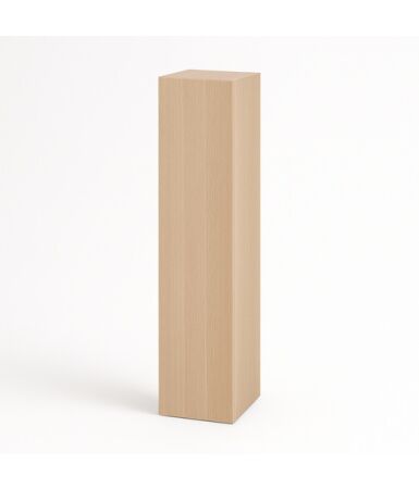 Szafa z półkami i pojedynczymi drzwiami